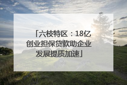 六枝特区：18亿创业担保贷款助企业发展提质加速